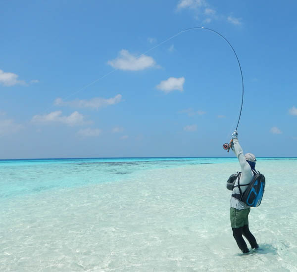 Fliegenfischen auf den Flats